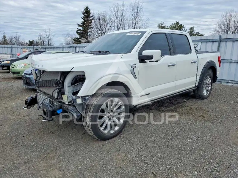 2023 Ford F-150 photo