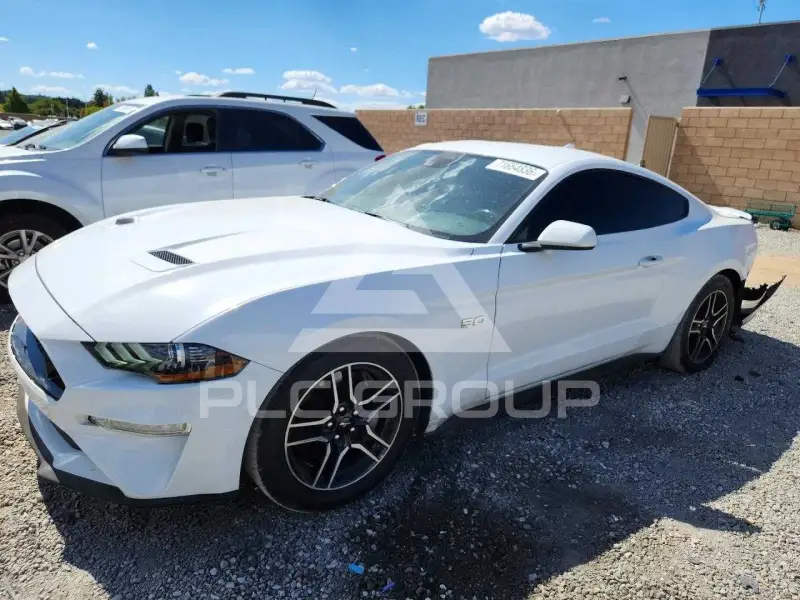 2023 Ford MUSTANG фото