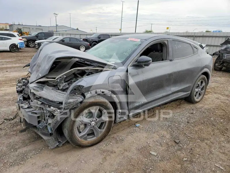 2023 Ford MUSTANG photo