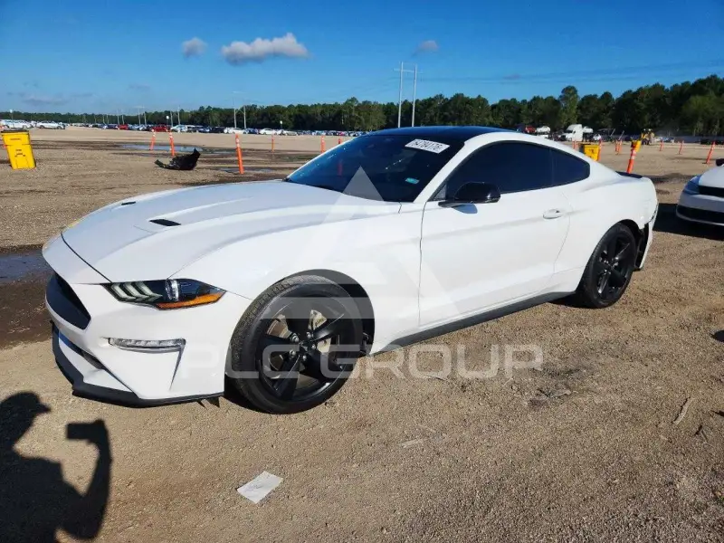 2023 Ford MUSTANG photo