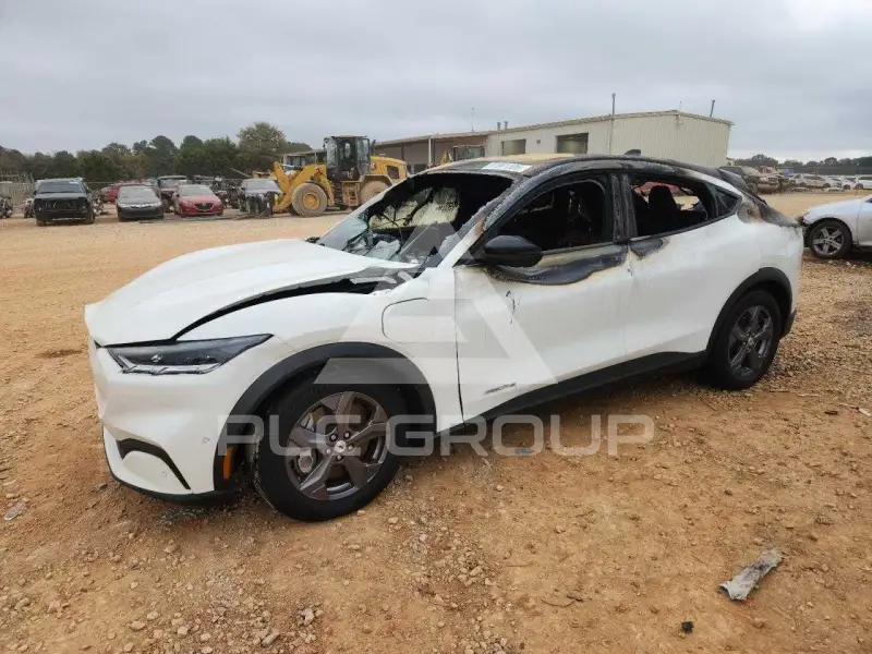 2023 Ford MUSTANG photo