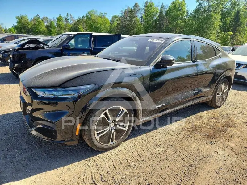2023 Ford MUSTANG фото