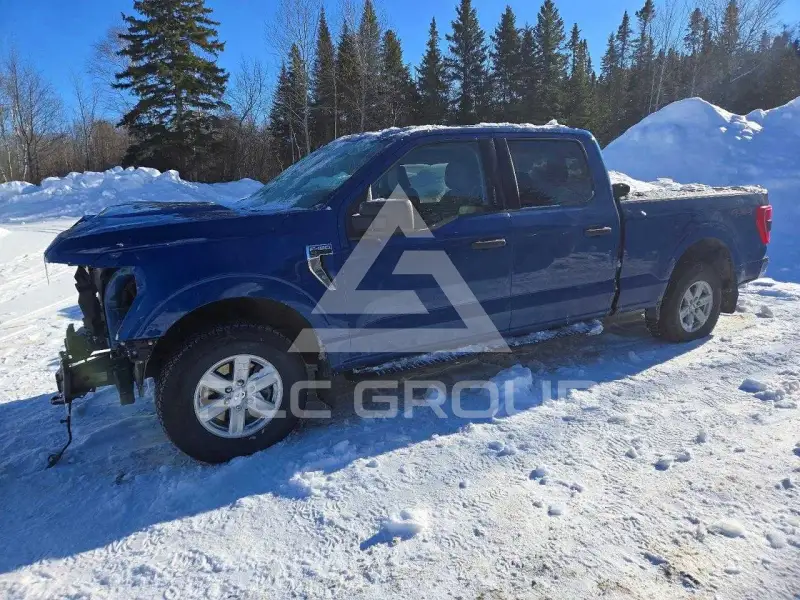 2023 Ford F-150 photo