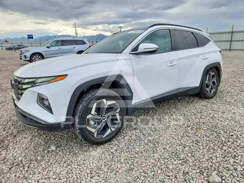 2023 Hyundai Tucson photo