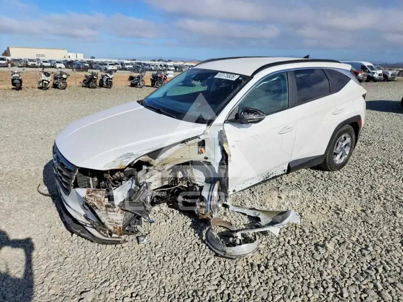 2023 Hyundai Tucson photo