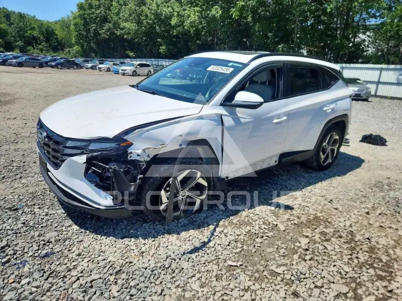 2023 Hyundai Tucson photo