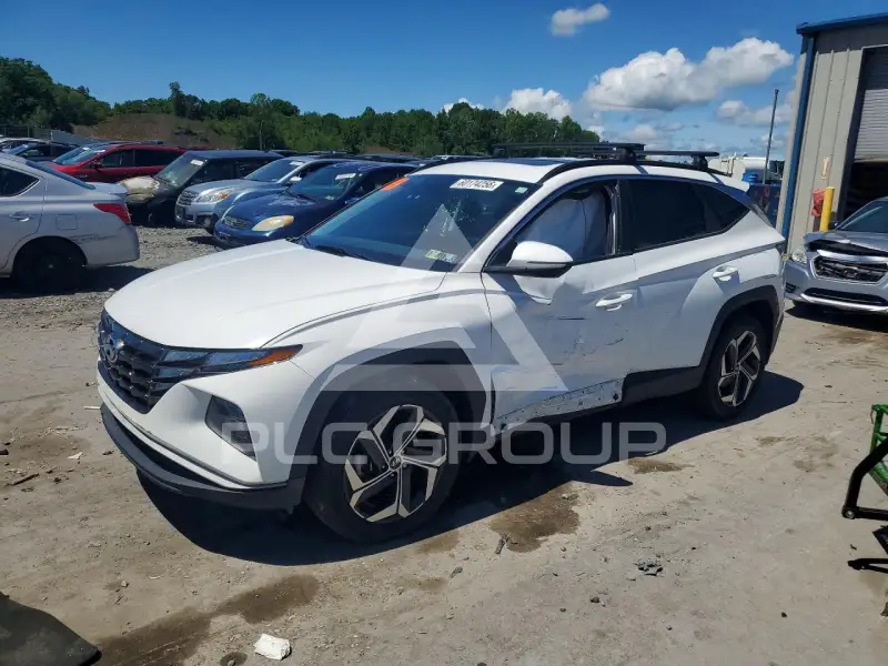 2023 Hyundai Tucson photo