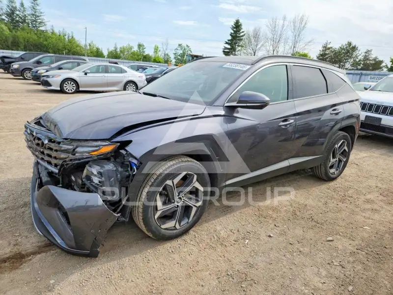 2023 Hyundai Tucson photo