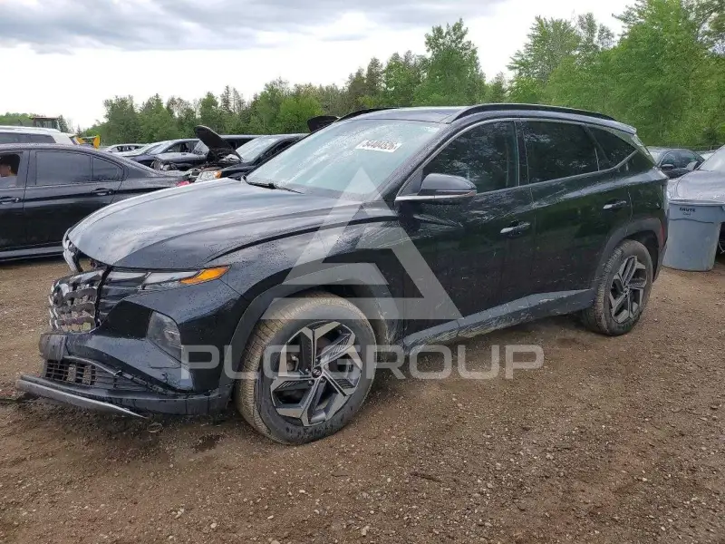 2023 Hyundai Tucson photo