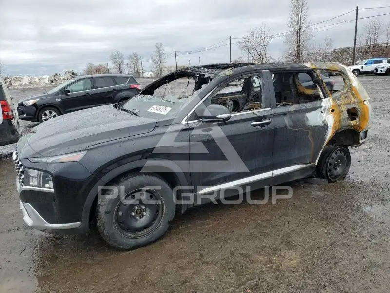 2023 Hyundai Santa Fe фото