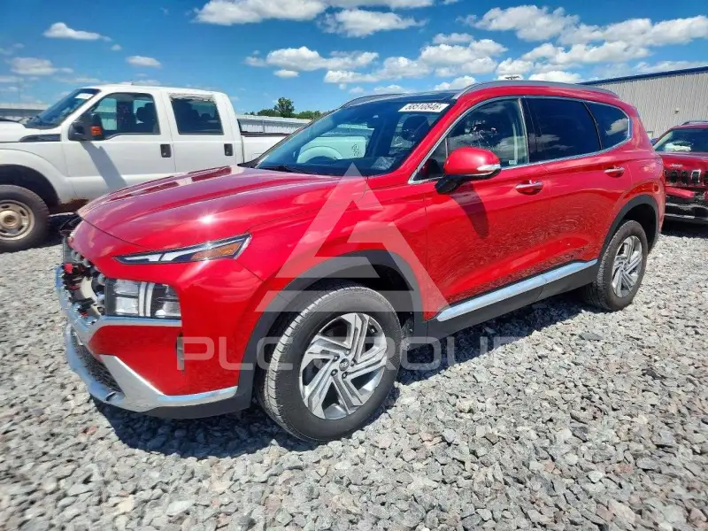 2023 Hyundai Santa Fe фото