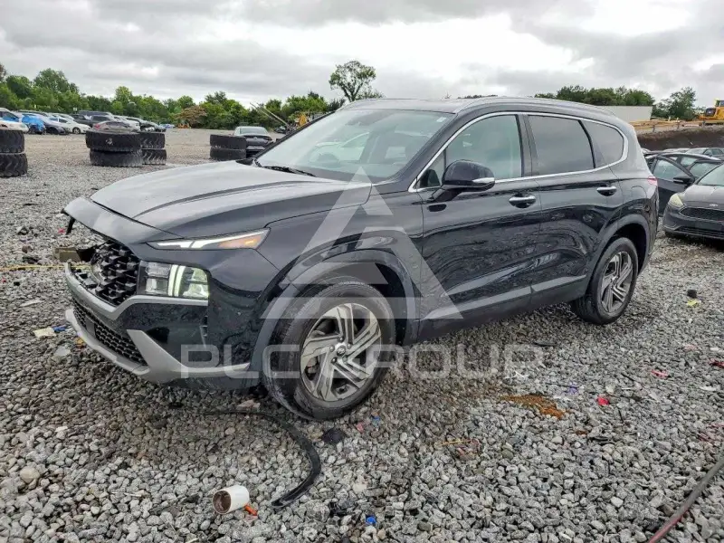 2023 Hyundai Santa Fe фото