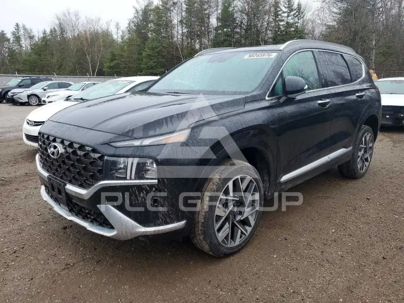 2023 Hyundai Santa Fe photo