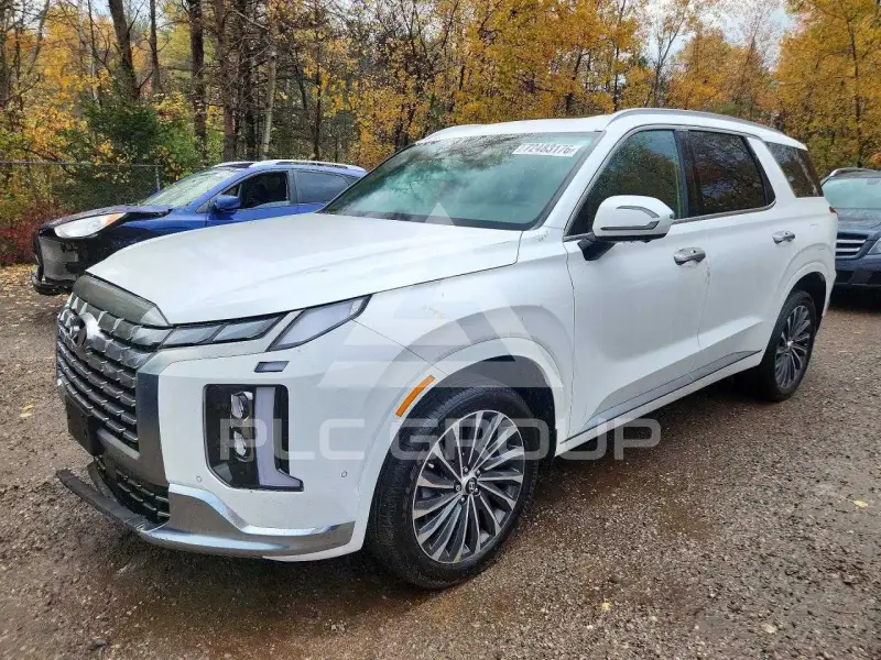 2023 Hyundai Palisade фото