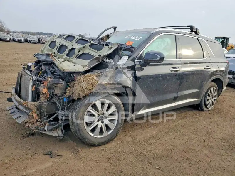 2023 Hyundai Palisade photo
