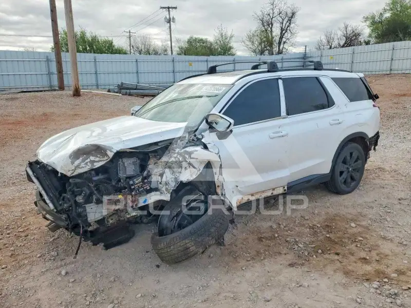 2023 Hyundai Palisade фото
