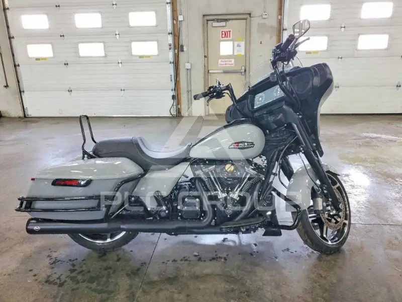 2024 Harley-Davidson FL фото