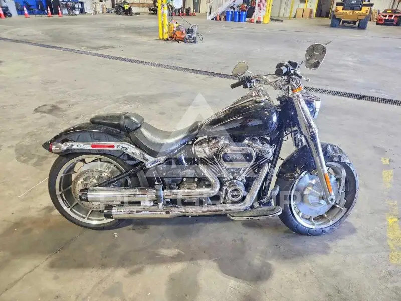 2024 Harley-Davidson FL фото