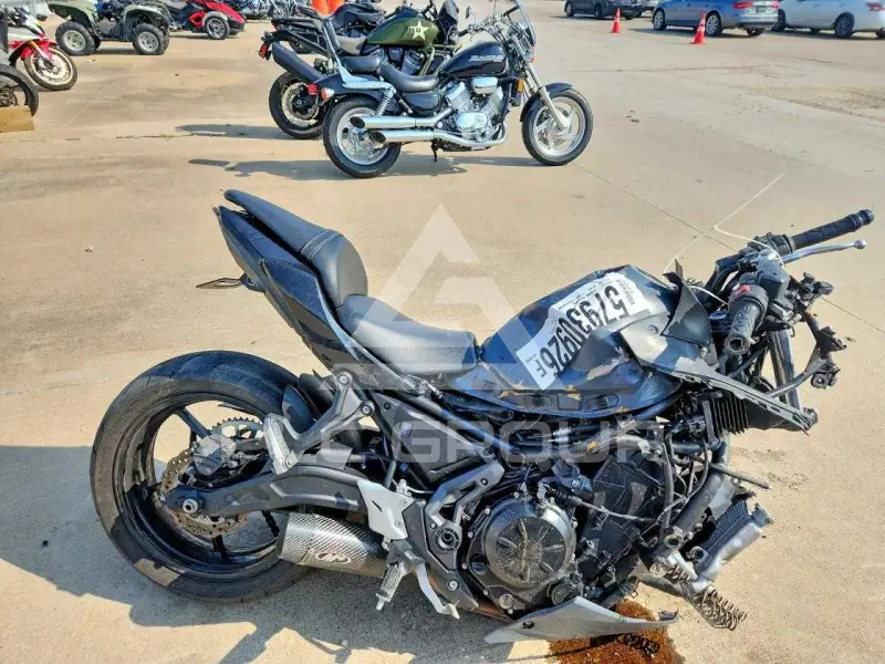 2024 Kawasaki EX650 photo