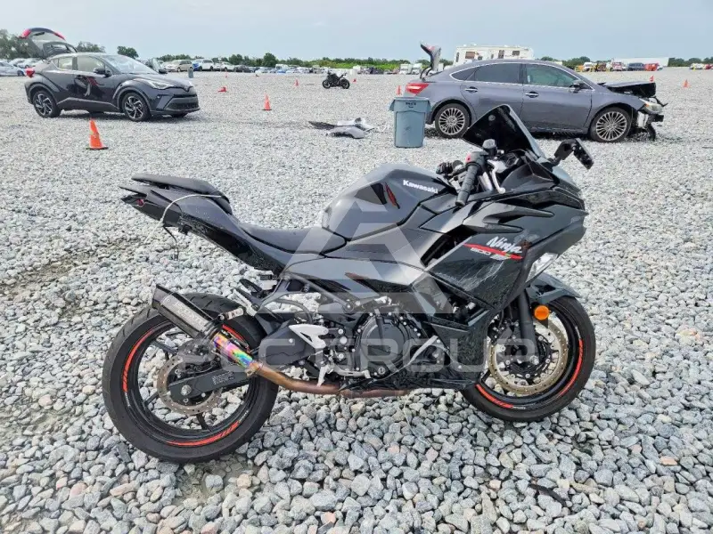 2024 Kawasaki  фото