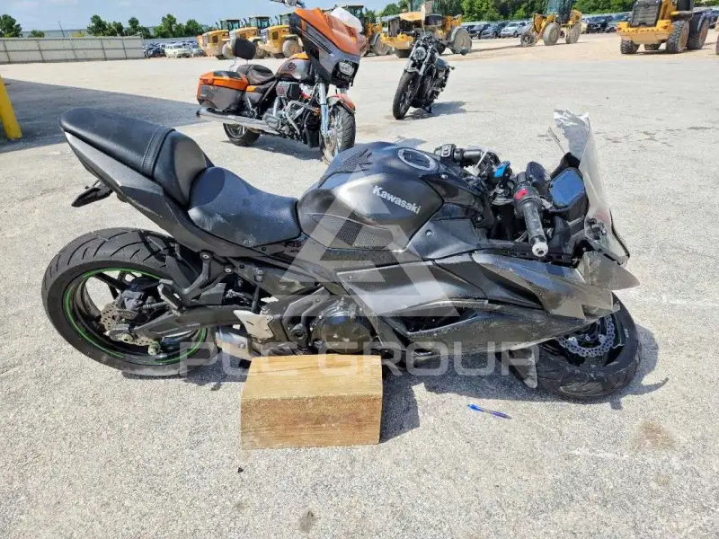 2024 Kawasaki  фото