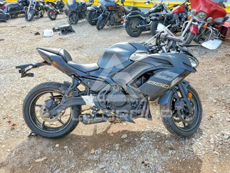 2024 Kawasaki  фото