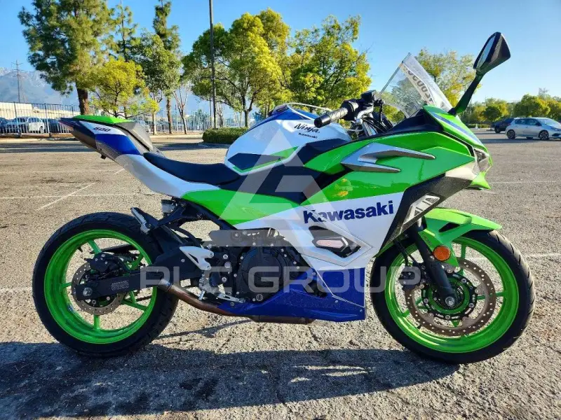 2024 Kawasaki  фото