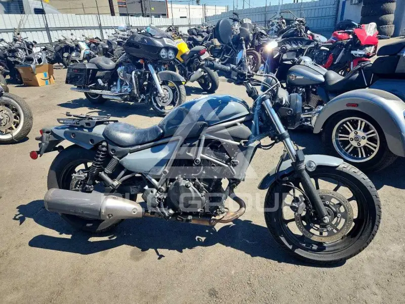 2024 Kawasaki  photo