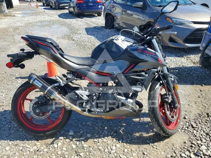 2024 Kawasaki  фото