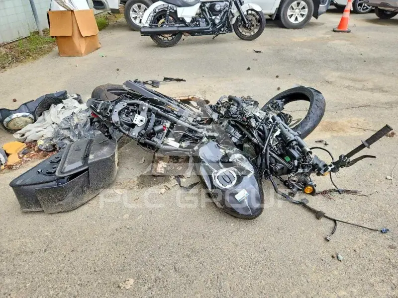 2024 Kawasaki  photo