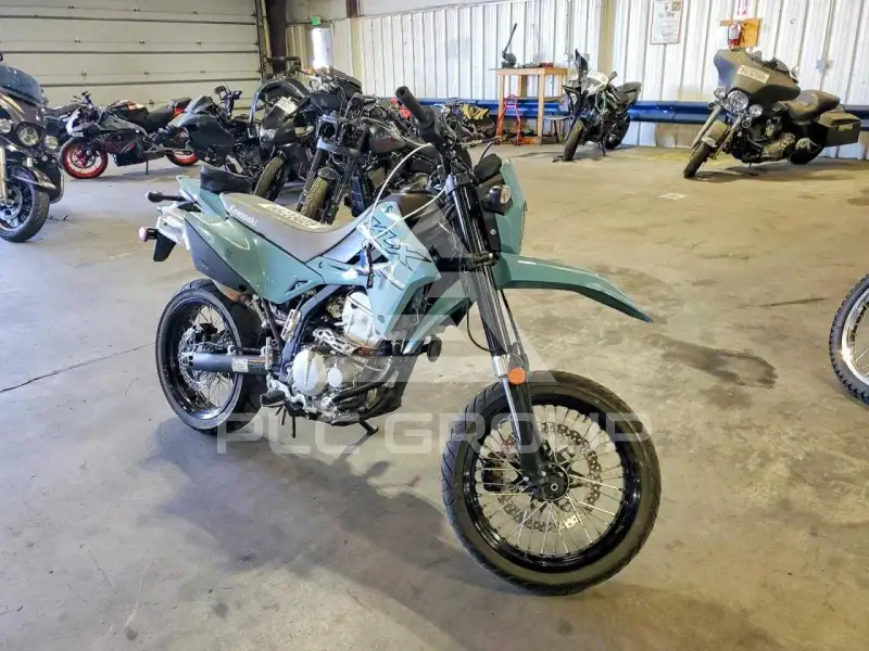 2024 Kawasaki  фото
