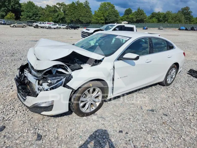 2024 Chevrolet Malibu photo