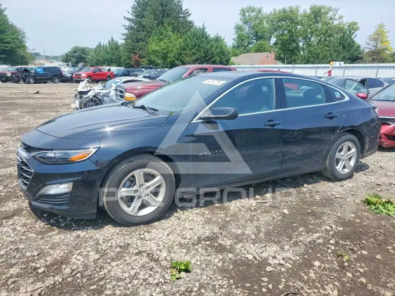 2024 Chevrolet Malibu photo