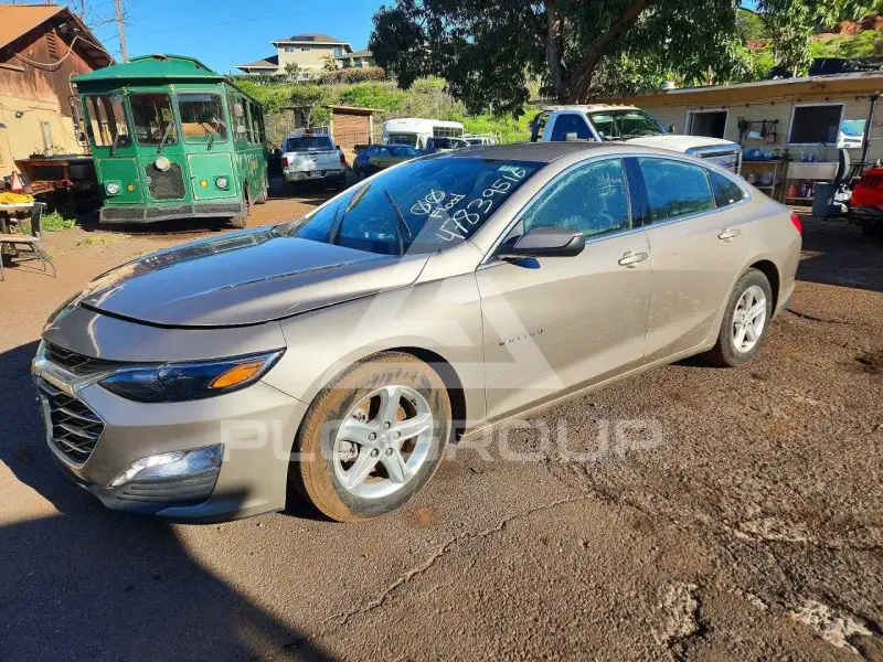 2024 Chevrolet Malibu фото