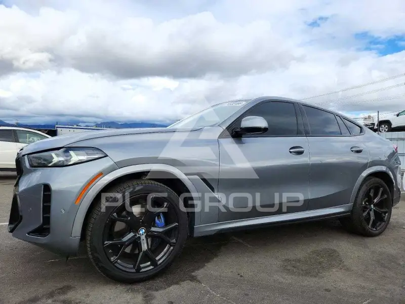 2024 BMW X6 photo