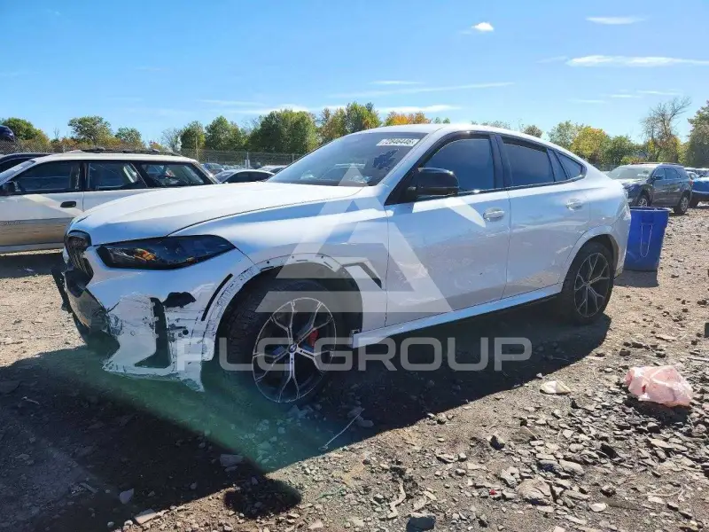 2024 BMW X6 photo