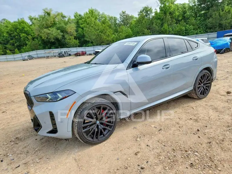2024 BMW X6 фото