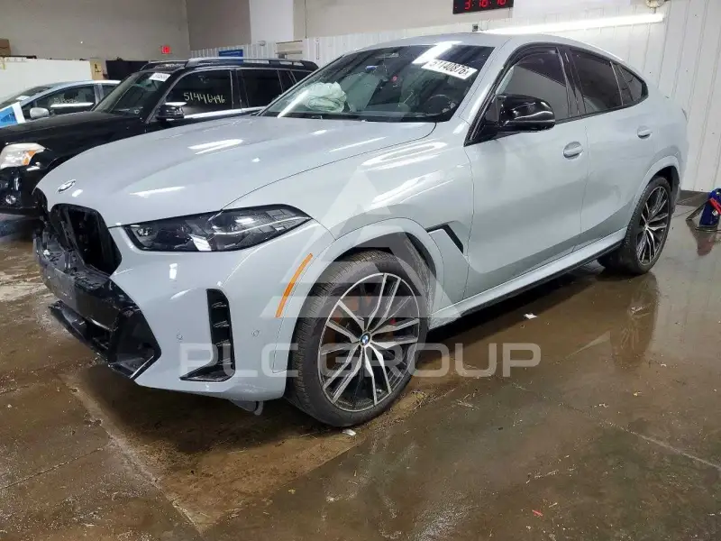 2024 BMW X6 photo