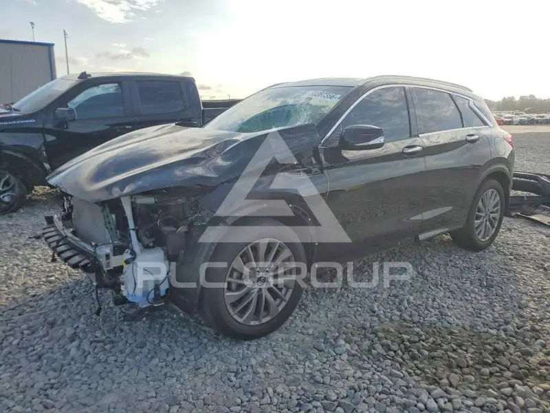 2024 Infinity QX50 фото