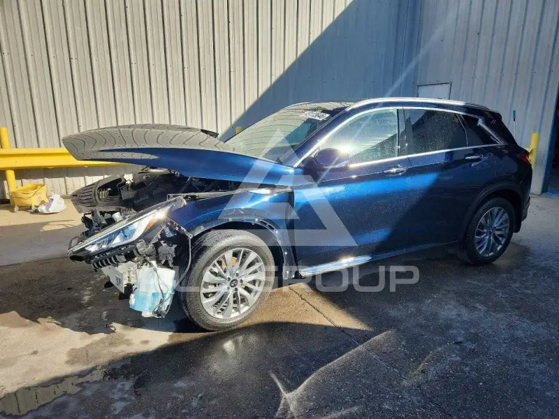 2024 Infinity QX50 фото