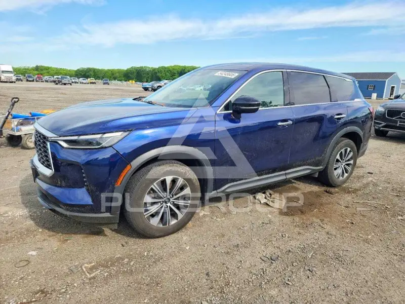 2024 Infinity QX60 photo