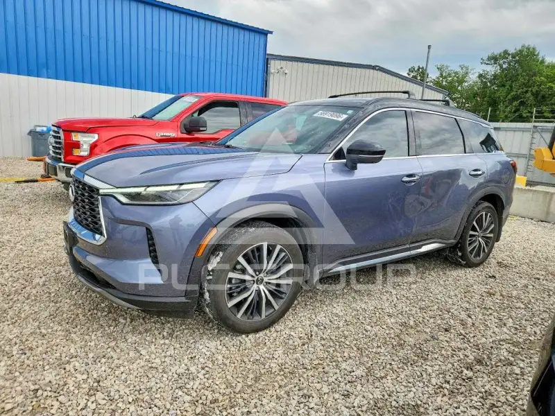 2024 Infinity QX60 photo