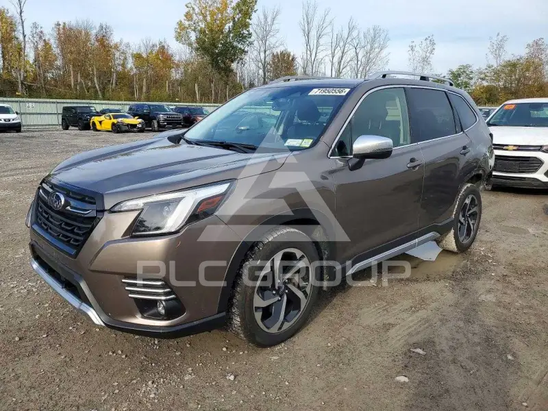 2024 Subaru Forester фото