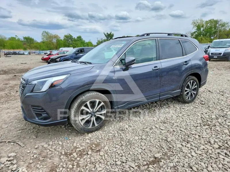 2024 Subaru Forester фото