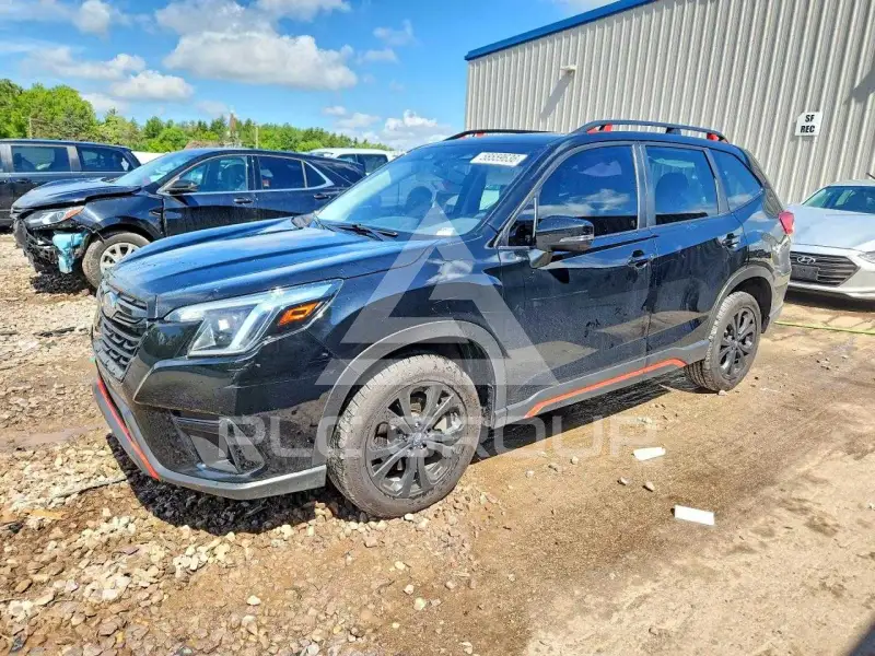 2024 Subaru Forester фото