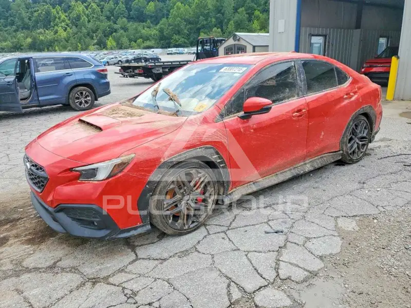 2024 Subaru WRX photo