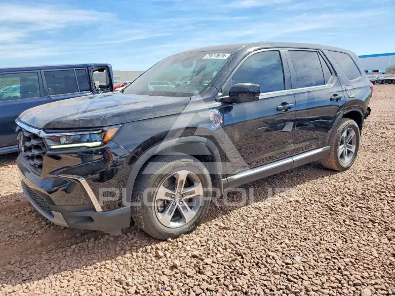 2024 Honda PILOT фото