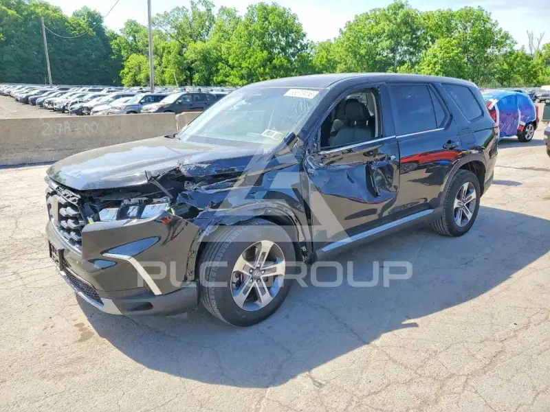 2024 Honda PILOT photo