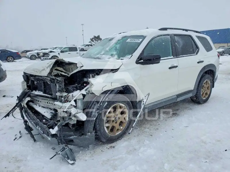 2024 Honda PILOT photo