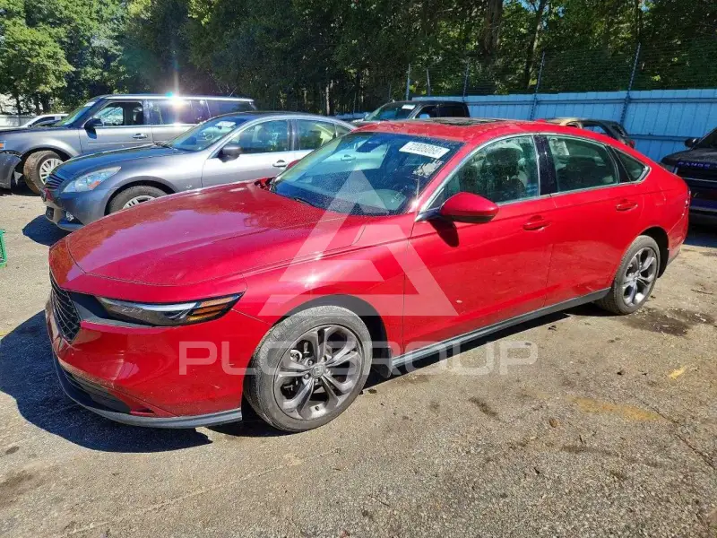 2024 Honda Accord photo